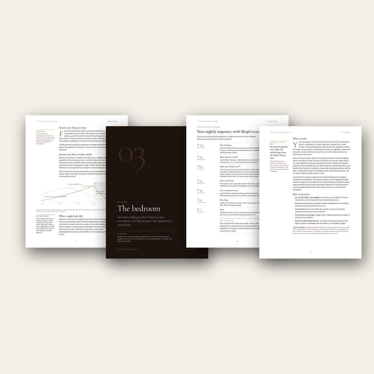 The Better Nights Guide e-book | SleepCocoa